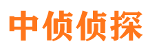 龙游侦探公司